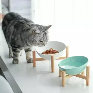 โลโก้ร้าน Tracy56 Pets Shop