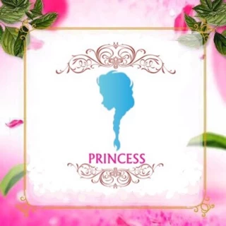 โลโก้ร้าน Princess Brand Official Store