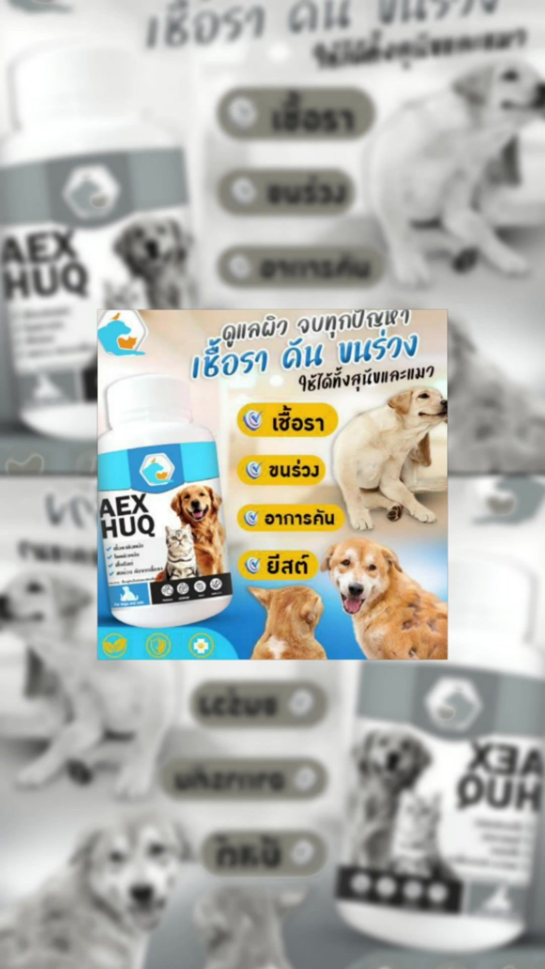 #nexcare #แผลน้องหมา #ของใช้สัตว์เลี้ยง #เชื้อรา #เชื้อราแมว #เชื้อราสุนัข #ผิวแพ้ง่าย #สัตว์เลี้ยง #ทาสแมว #ทาสหมา