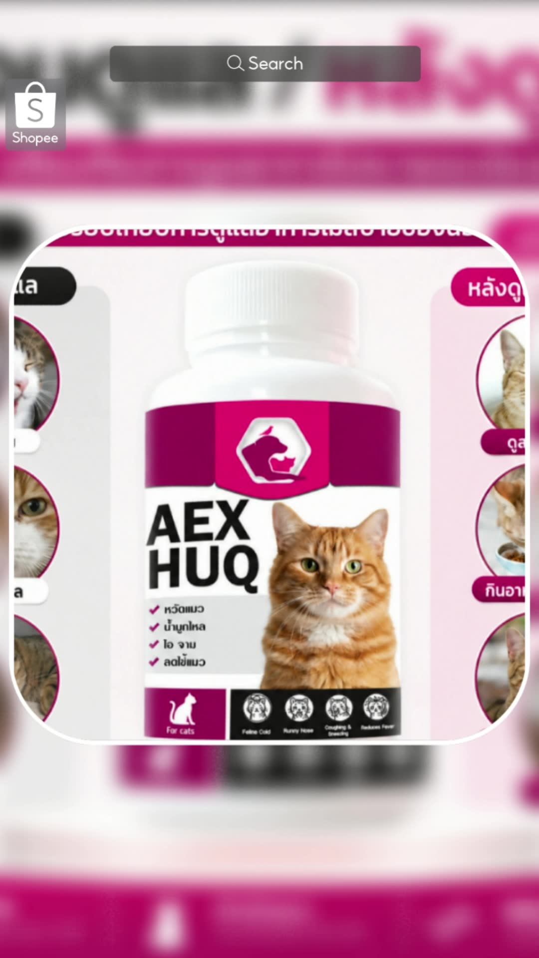 AEXHUQ เสริมภูแมว ไอ จาม น้ำมูกไหล ดูไม่สบาย หวัดแมว สูตรสำหรับแมว และดูแลระบบทางเดินหายใจ #แมว #สัตว์เลี้ยง #ShopeeVideo #ShopeeVideoTH #ช้อปปี้ป้ายยา