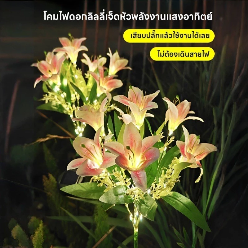 215.00 อัตราค่าคอมมิชชัน 20% เอา ลิงก์