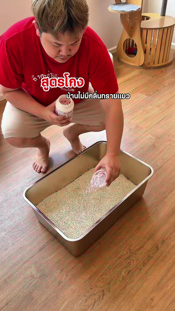 Sung Kong loại bỏ mùi cát mèo, ai đến nhà cũng không ngại #diệtmúcátmèo #bộtdiệtmúcátmèo