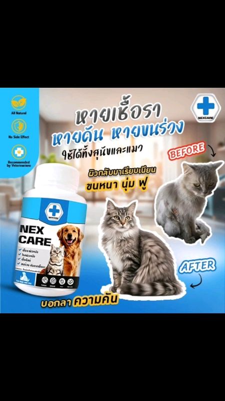 ์NEX CARE #ดูแลผิวหนังสัตว์เลี้ยง #สุนัข #แมว#สร้างภูมิ  #คัน เกา #ขนร่วง #เชื้อราแมว/สุนัข