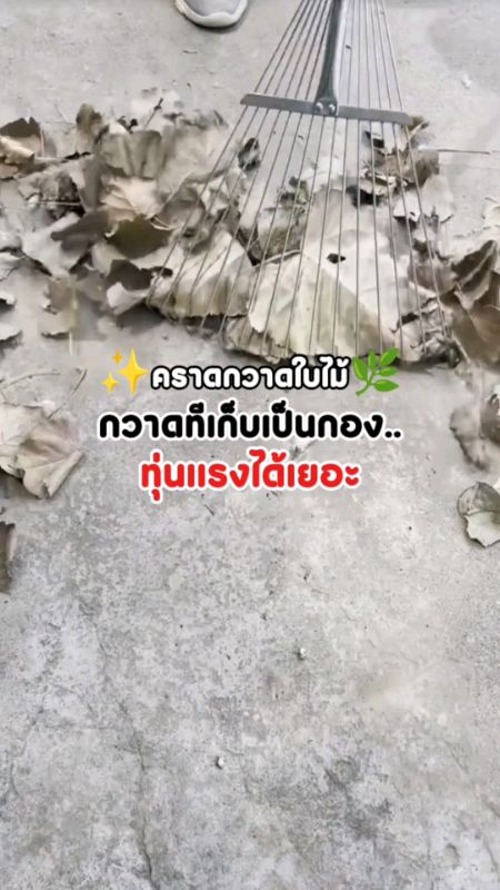 Krad quét lá, quét được thành đống.. 🌿🌳 #Krad #KradQuétLá #KradQuétCỏ #DụngCụLàmVườn #ThiếtBịLàmVườn #ReviewTốtReviewNổiTiếng #ClipHayKhoReview