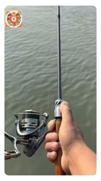 Ròng quay spinning, ròng quay baitcast, không có khe hở, ròng câu cá, ròng baitcasting 5.2:1, độ kéo cao 50KG #chốnggỉ #cáncâu biển #câu cá biển #câu cá