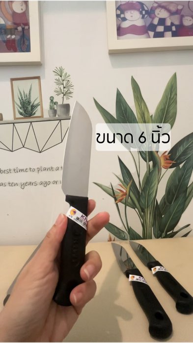 #มีดทำครัว #มีดสั้น #มีดใช้ในครัว #มีดปอกผลไม้ #มีดกีวี #มีดกีวี่ #ShopeeVideoTH #ShopeeVideo