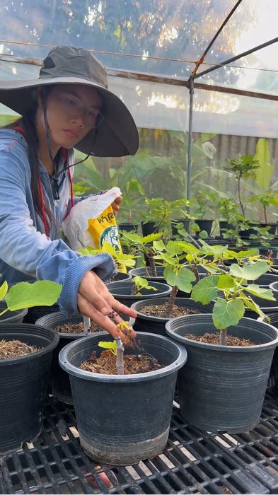 Phân hữu cơ Falo 5 kg #phân hữu cơ #phân hữu cơ #phân hữu cơ Falo