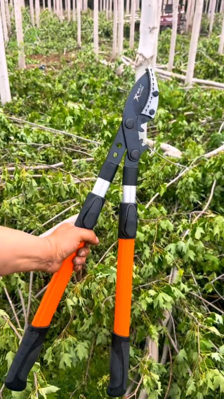 #กรรไกรตัดกิ่งไม้ด้ามยาวแบบผ่อนแรง (Loppers) ซึ่งเป็นเครื่องมือทำสวนที่ออกแบบมาเพื่อตัดแต่งกิ่งไม้ที่มีความหนาและอยู่ในตำแหน่งที่เอื้อมถึงยาก
