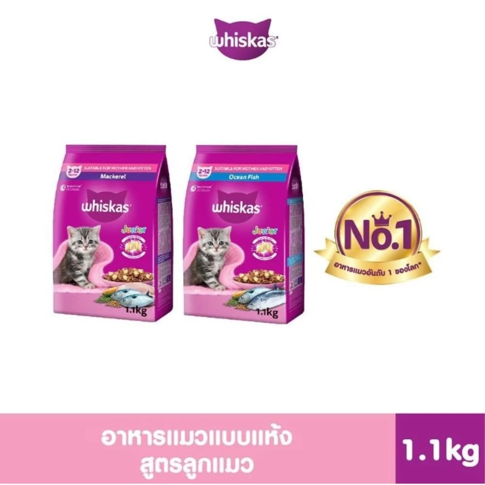 WHISKAS วิสกัส จูเนียร์ อาหารลูกแมว ชนิดแห้ง 1.1 กก. พร้อมจัดส่งด่วน