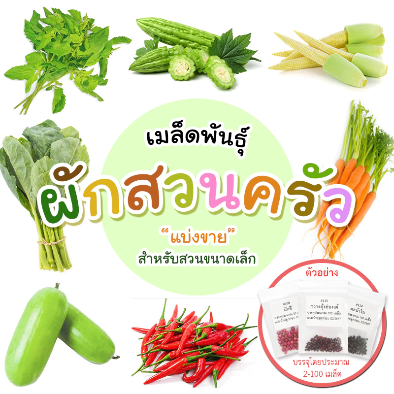 25% OFF เมล็ดผักสวนครัว แบ่งขาย เหมาะสำหรับทดลองปลูกหรือสวนขนาดเล็ก ฿2.00 900พัน+ sold Comm Rate 17% Get Link