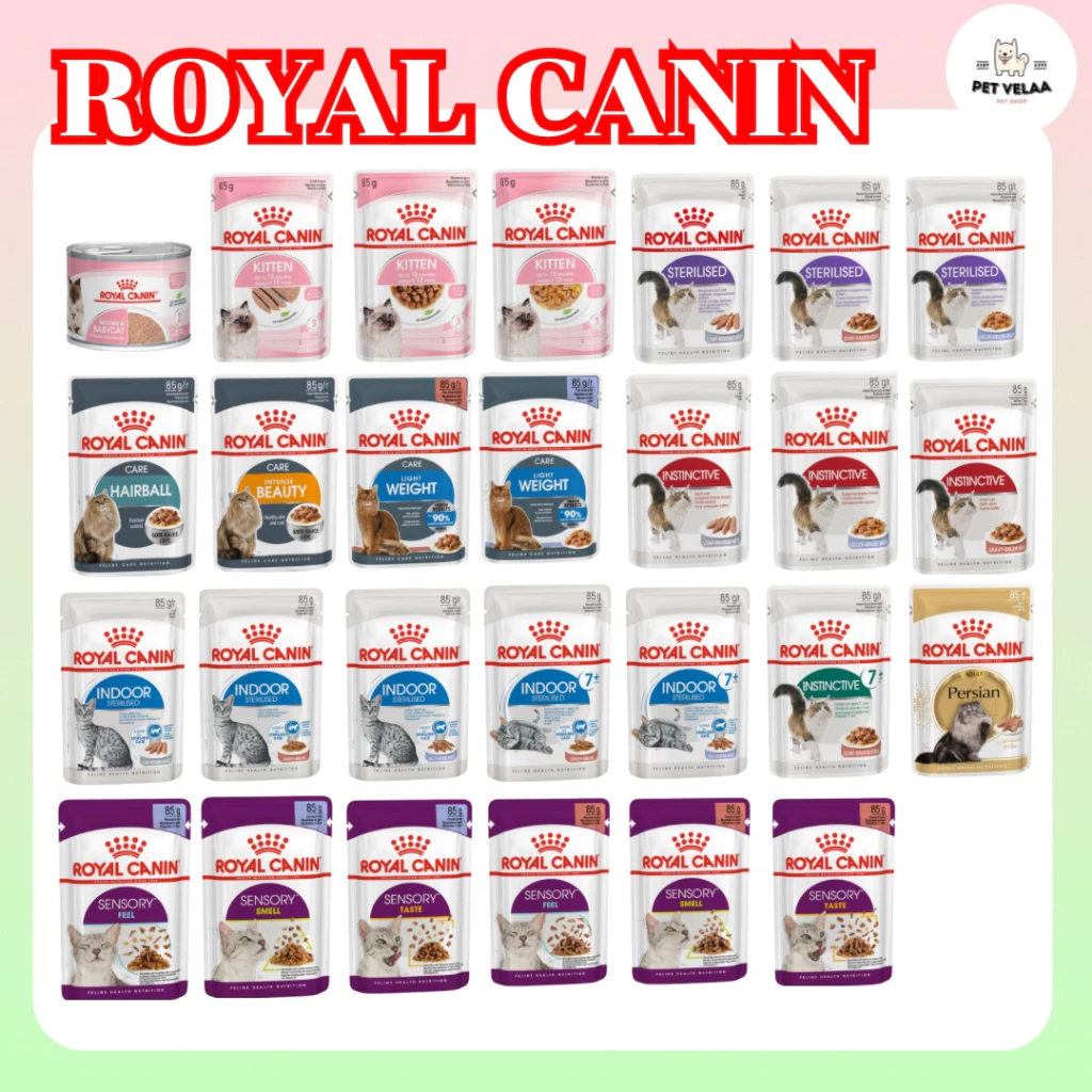 (12ซอง) Royal Canin โรยัล คานิน อาหารเปียกแมว แมวเด็ก แมวโต ทุกสายพันธุ์ ขนาด 85g. ยกโหล พร้อมจัดส่งด่วน