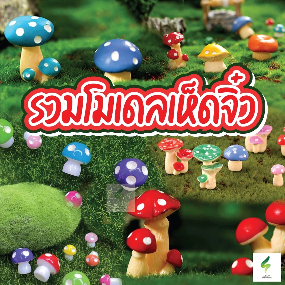 รวมโมเดลเห็ดจิ๋ว ตกแต่งสวนถาด แต่งสวนจิ๋ว แต่งบ้าน น่ารัก ตกแต่งสวนถาด