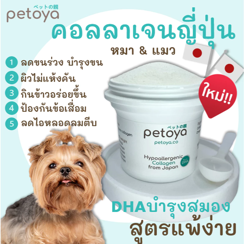คอลลาเจนญี่ปุ่นบำรุงขนและข้อสำหรับสุนัขแมว สูตรแพ้ง่าย แพ้ไก่ แพ้อาหารทะเลทานได้