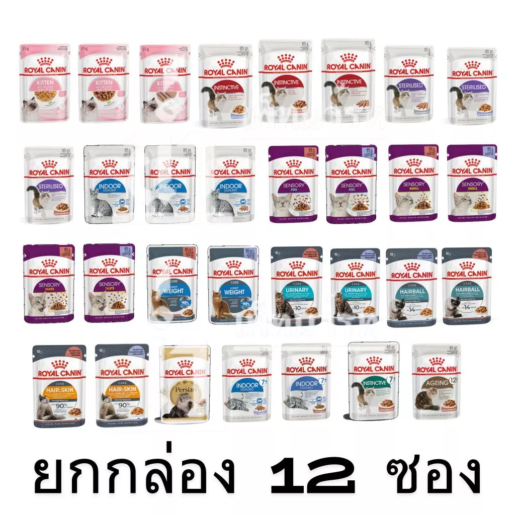 [ยกกล่อง 12 ซอง] Royal Canin Pouch อาหารเปียกแมว แมวเด็ก แมวโต ทุกสายพันธุ์ ขนาด 85 กรัมต่อซอง พร้อมจัดส่งด่วน