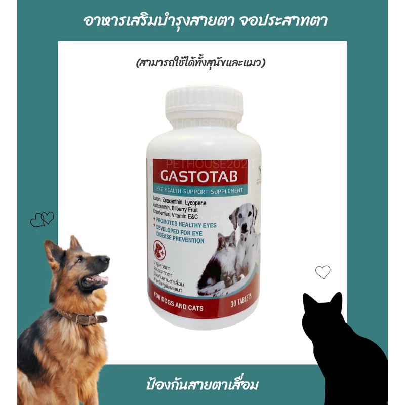 GASTOTAB อาหารเสริมบำรุงสายตาสุนัขและแมว บำรุงจอประสาทตา ป้องกันสายตาเสื่อม (30 เม็ด) พร้อมจัดส่งด่วน