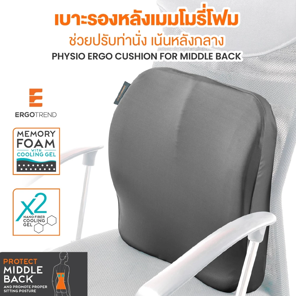 65% OFF ERGOTREND PHYSIO ERGO CUSHION FOR MIDDLE BACK เบาะรองหลังปรับท่านั่งให้ถูกต้องตามหลักสรีรศาสตร์ ฿883.00 326 sold Comm Rate 6% Get Link