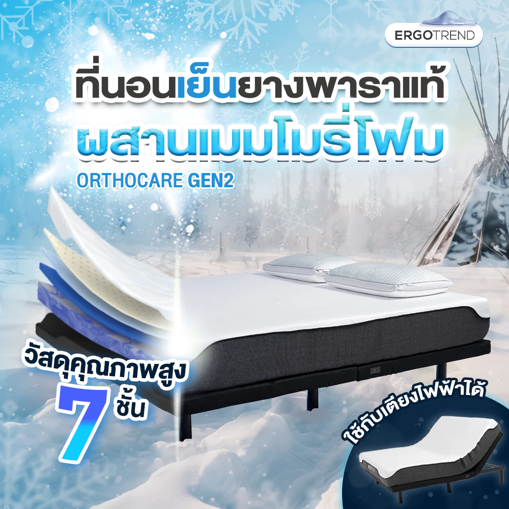42% OFF Ergotrend ที่นอนเย็นยางพาราแท้ ผสานเมมโมรี่โฟมใช้กับเตียงไฟฟ้าได้ รุ่นออร์โธแคร์เจนทู orthocare gen2 ฿11,500.00 34 sold Comm Rate 9% Get Link