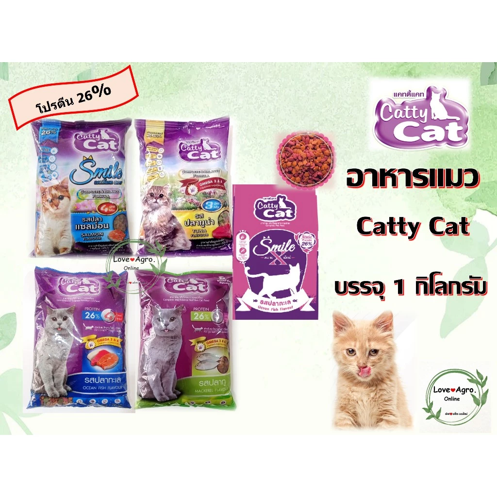 อาหารแมวราคาถูก Catty Cat แคทตี้แคท แบบเม็ด บรรจุ 1 กิโลกรัม พร้อมจัดส่งด่วน