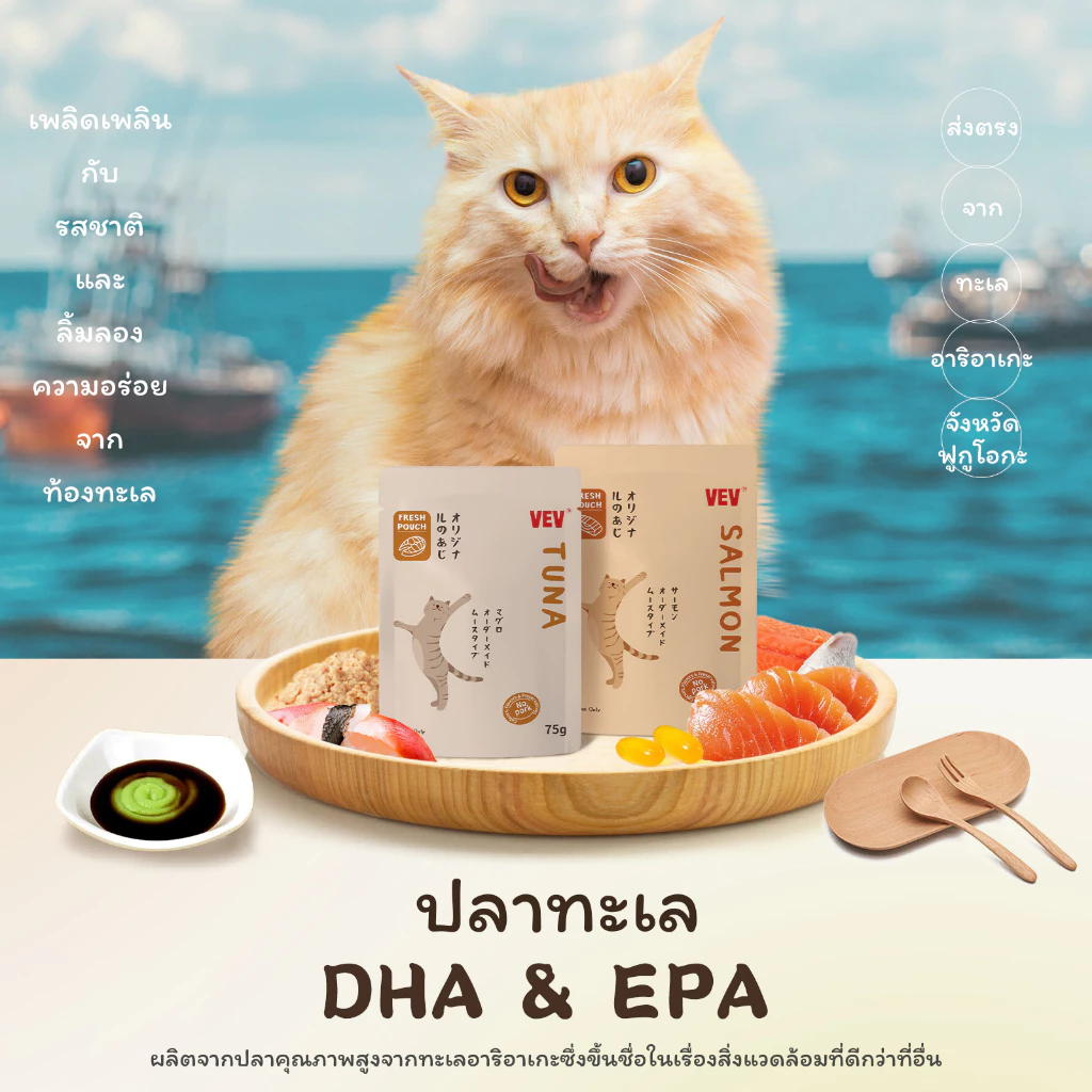 VEV อาหารเปียกแมว อาหารลูกแมว อาหารแมวโต อาหารแมวสูงวัย สูตรใหม่ ขนาด 75g พร้อมจัดส่งด่วน