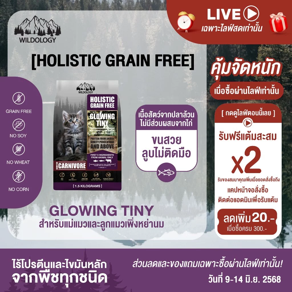 อาหารแมวแบบเม็ดโฮลิสติกเกรนฟรี ไวลด์โอโลจี GLOWING TINY สำหรับแม่แมวและลูกแมวหย่านม [ GT ] พร้อมจัดส่งด่วน
