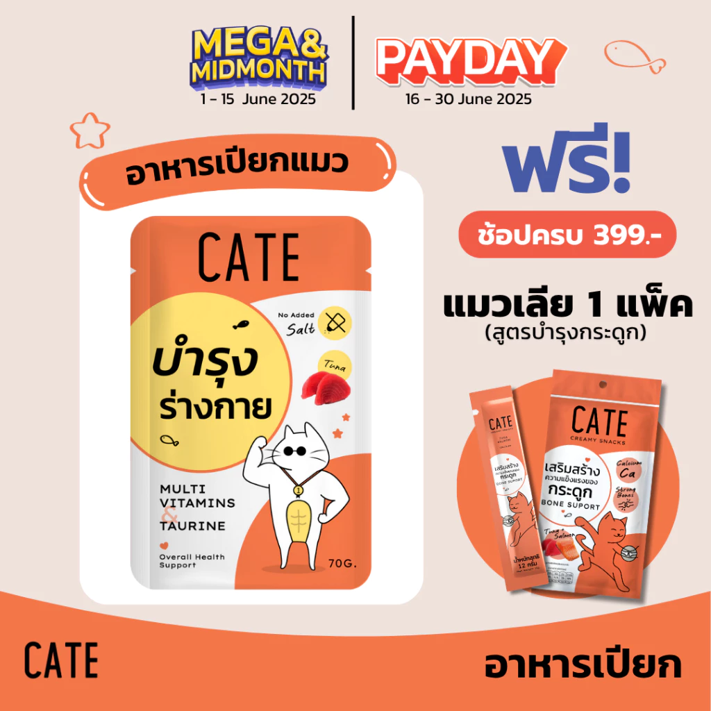 CATE เคท อาหารเปียกแมว สูตรบำรุงร่างกายและสายตา 70 g. (ยกโหล 12 ซอง) Taurine, E, A, B1, B2, B6, B12, D3, K3 และ Omega-3 พร้อมจัดส่งด่วน