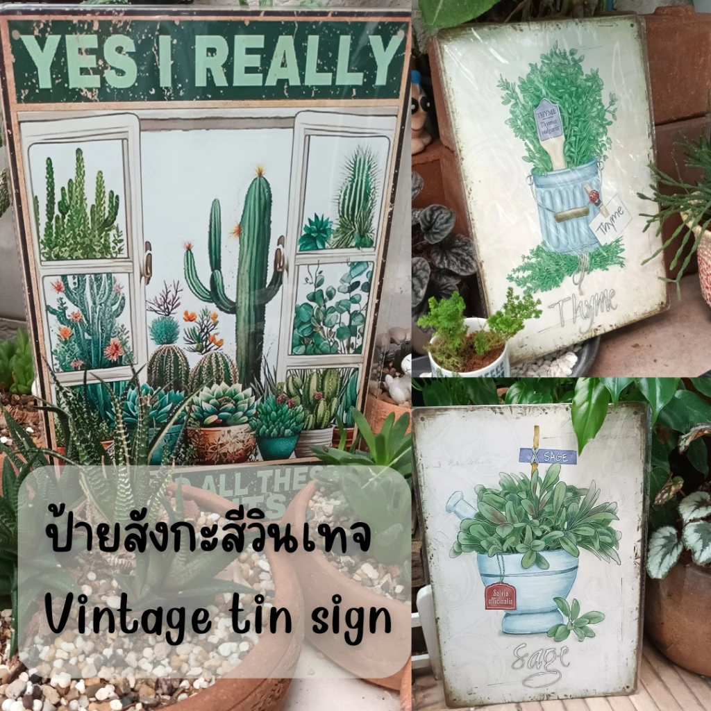 ป้ายสังกะสีวินเทจโทนต้นไม้สีเขียวแต่งบ้านแต่งร้าน Vintage green tree metal sign