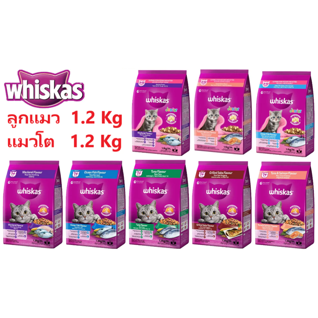 whiskas วิสกัส อาหารแมว ลูกแมว แมวโต