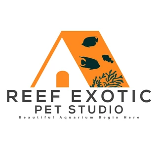 REEF EXOTIC STUDIO