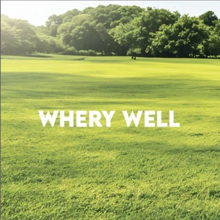 โลโก้ร้าน WHERY WELL_OfflcialStore